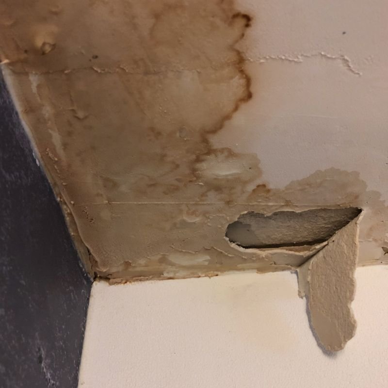 Ceiling drywall repair service Las Vegas NV