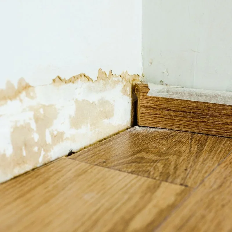 Water damage drywall repair service Las Vegas NV